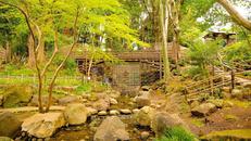 戸越公園