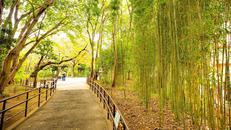 戸越公園