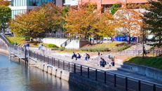 五反田ふれあい水辺広場