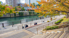 五反田ふれあい水辺広場