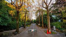 しながわ区民公園