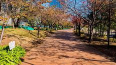 東品川海上公園