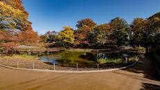 文庫の森公園
