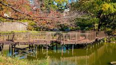 文庫の森公園