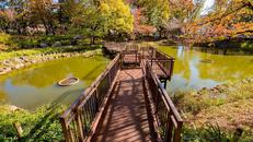 文庫の森公園