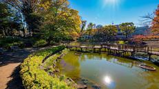 文庫の森公園