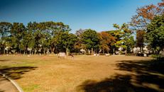 文庫の森公園