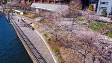 五反田ふれあい水辺広場
