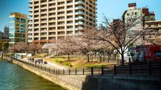 五反田ふれあい水辺広場