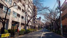 かむろ坂