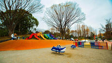 しながわ区民公園（遊びの広場）