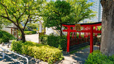 八ツ山公園