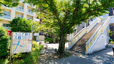 八ツ山公園