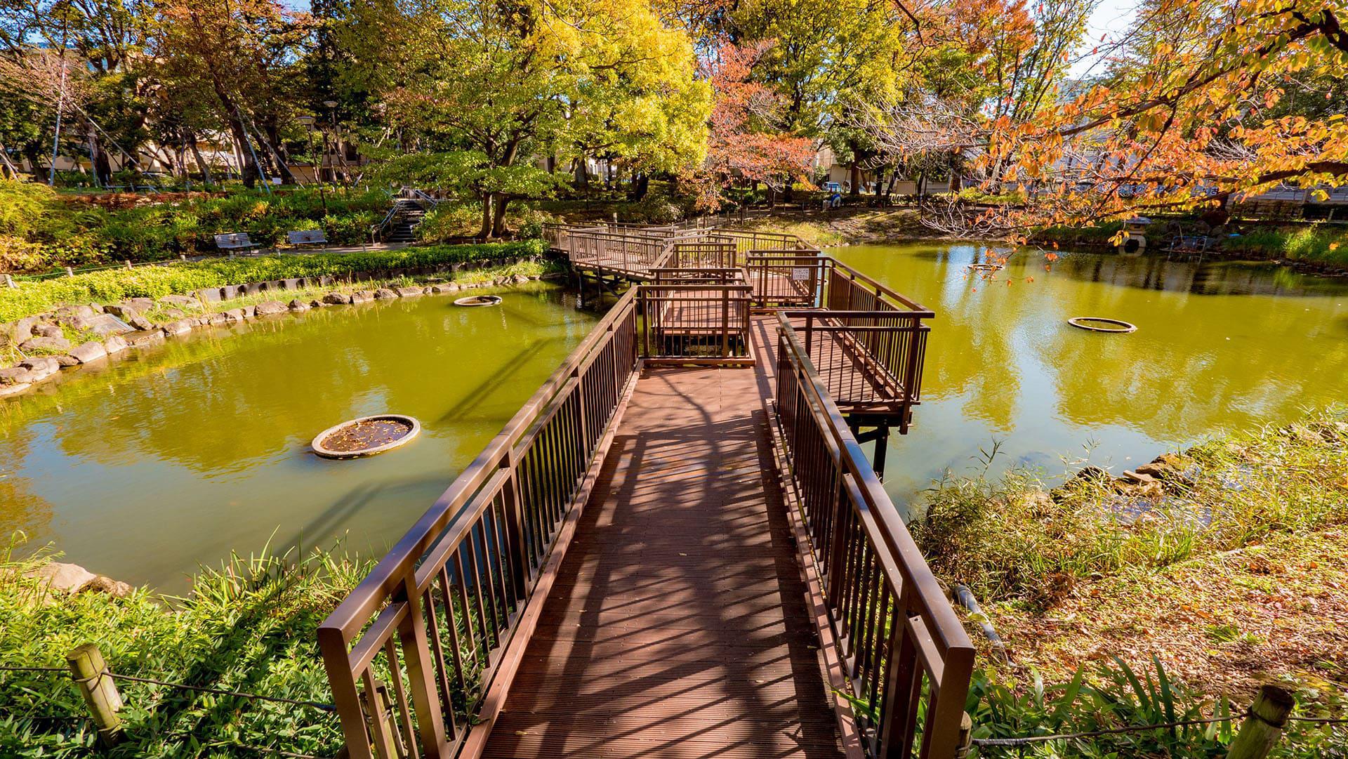 文庫の森公園