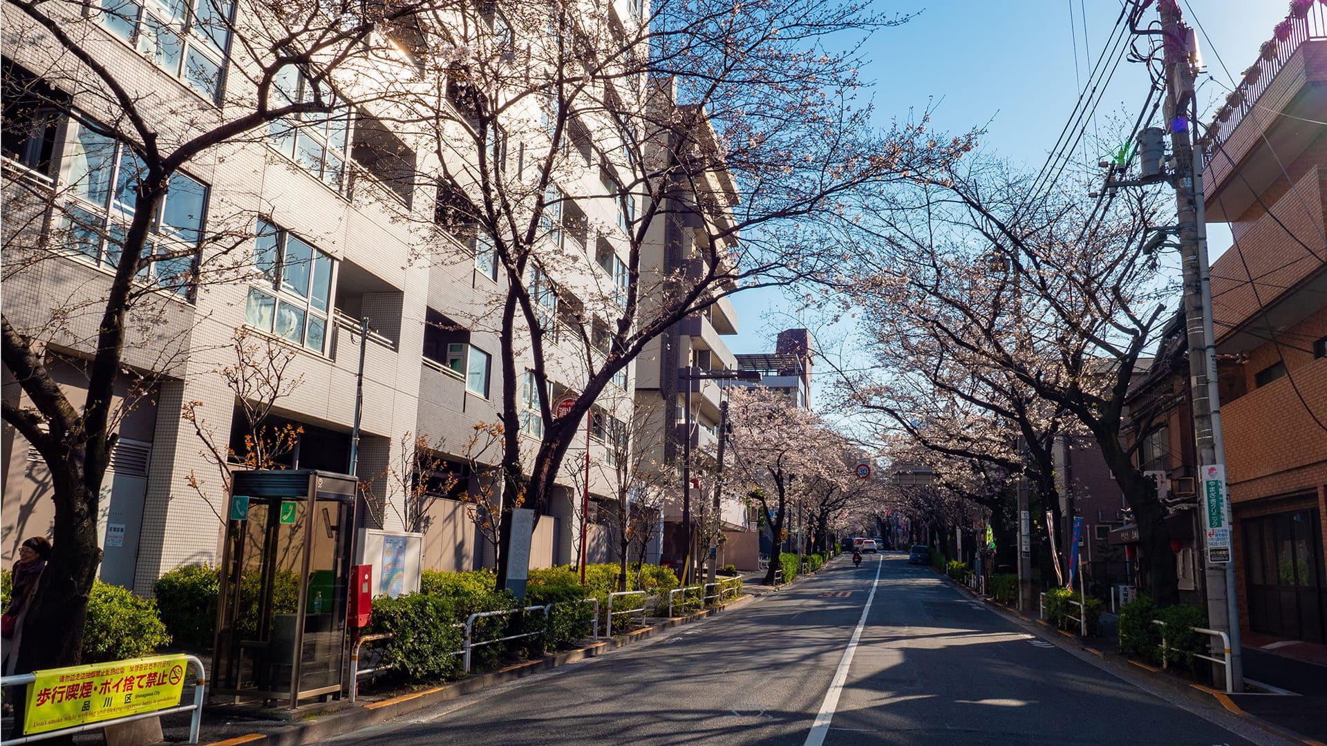 かむろ坂