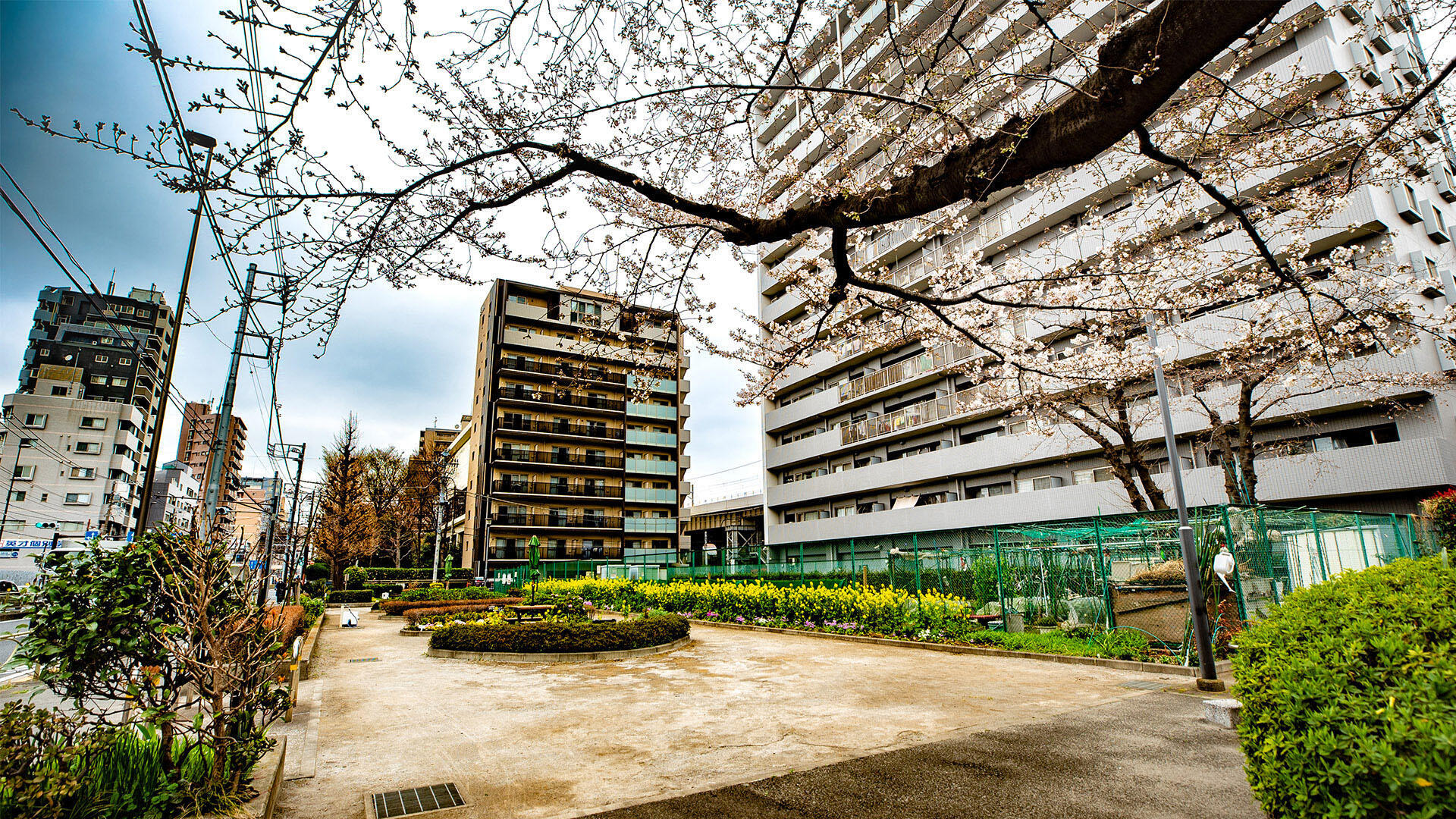 みなみ児童遊園（南側）