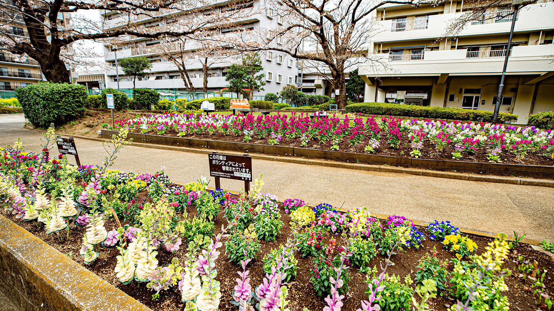 みなみ児童遊園（南側）
